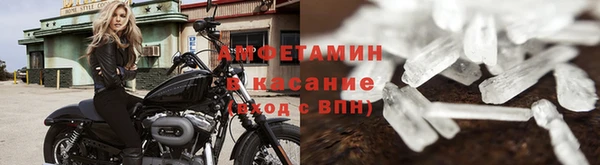 гидра Абаза