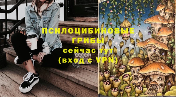 PSILOCYBIN Абинск