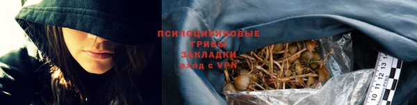 PSILOCYBIN Абинск