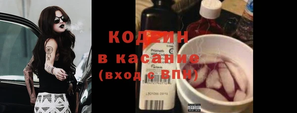 гидра Абаза