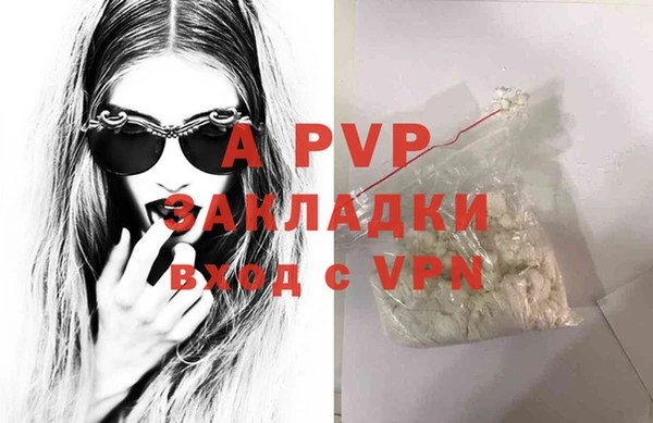 гидра Абаза