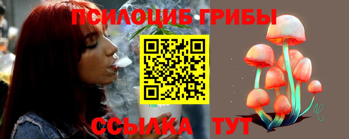 Псилоцибиновые грибы ЛСД Нальчик